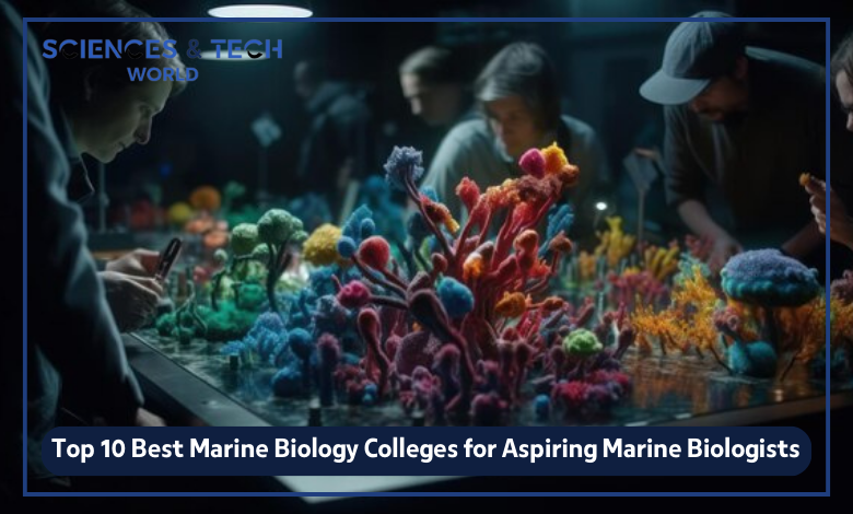 10 Best Marine Biology Colleges In The World 2023