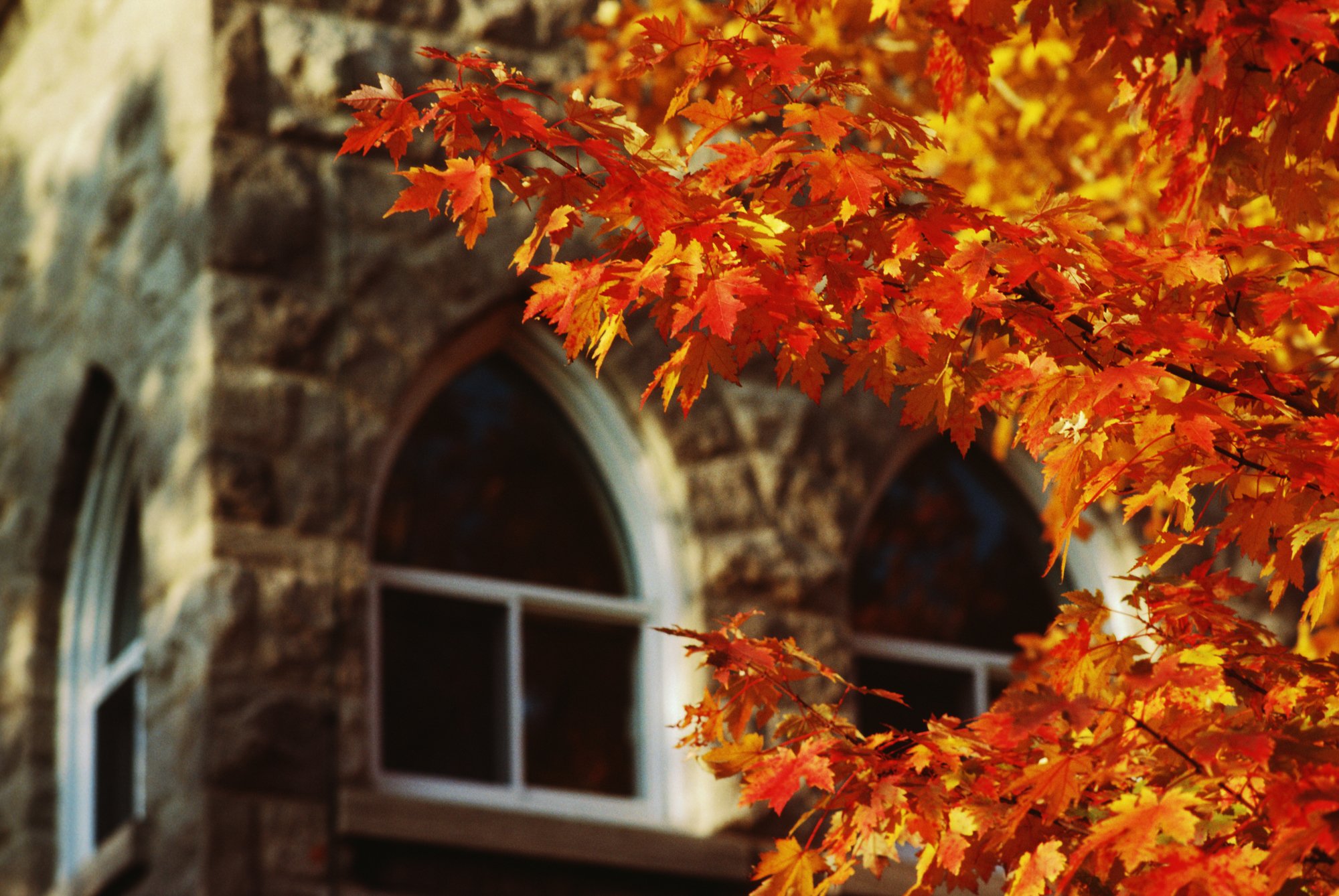 10 Colleges With The Best Research Labs Stemjobs