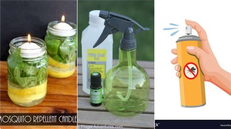 100 Modren Ideas To Creating A Mosquito Free Haven The Ultimate