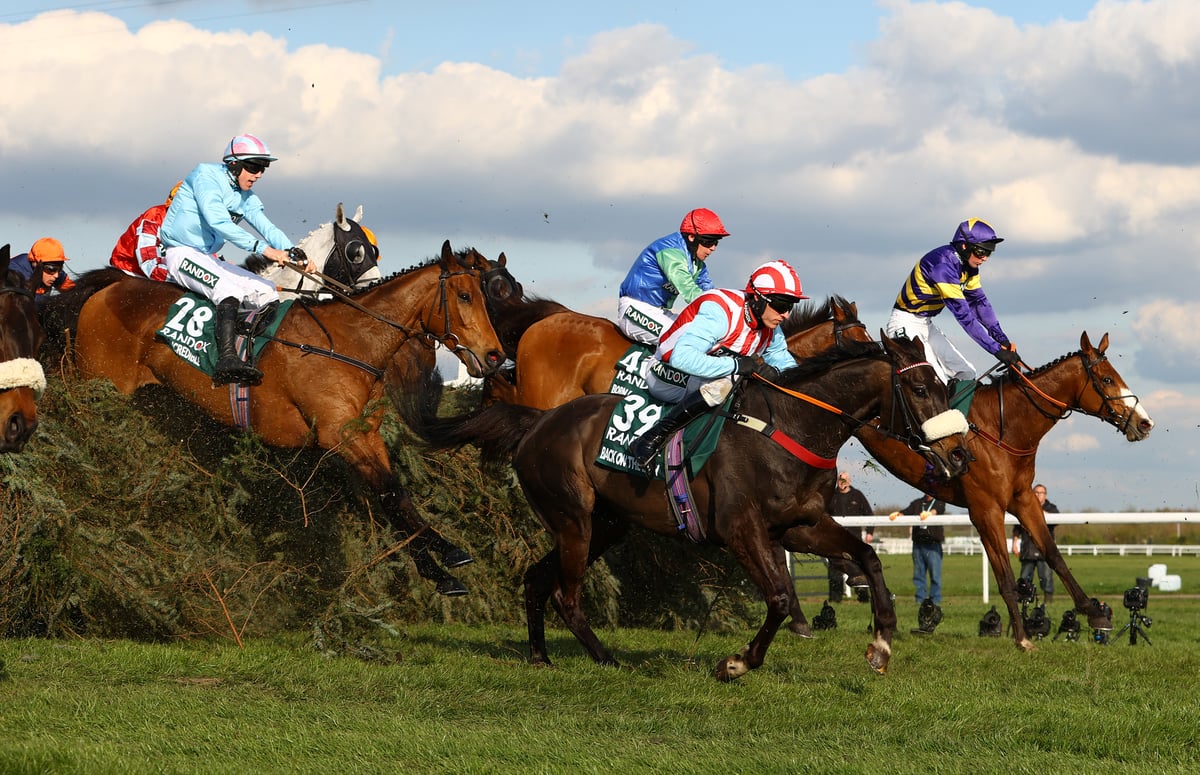 17 Grand National Runners: Ultimate Guide To 2024'S Contenders