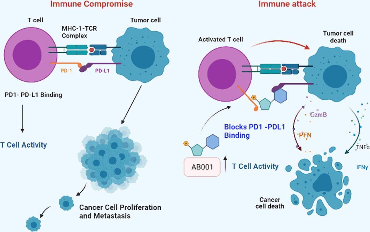 2 The Perfect 6 Ebtaccepting Gas Stops Today Immuno Oncology