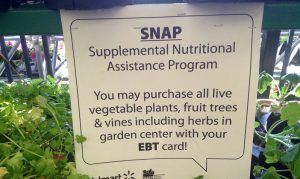 2 Ways To Anonymously Report Food Stamp Snap Fraud