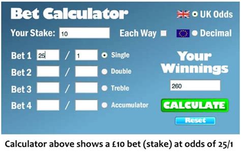 20 1 Bet Calculator