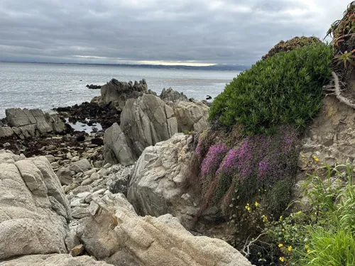 2023 Best Partially Paved Trails In Pacific Grove Alltrails