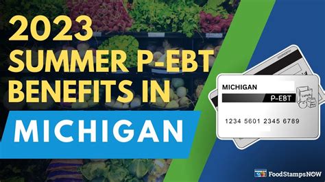 2023 Summer P Ebt In Michigan Payment Update Youtube