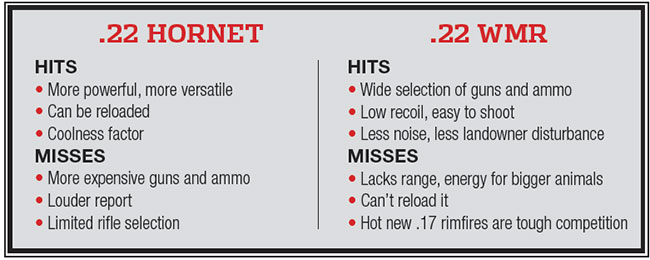 22 Wmr Vs 22 Hornet