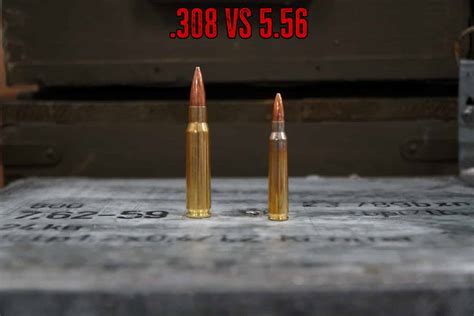 308 Vs 5 56 Comparison True Shot Gun Club