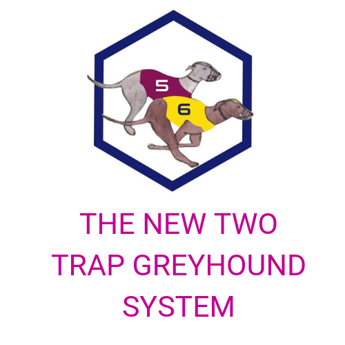 7 Tips To Make Your Ultimate Greyhound Experience Today