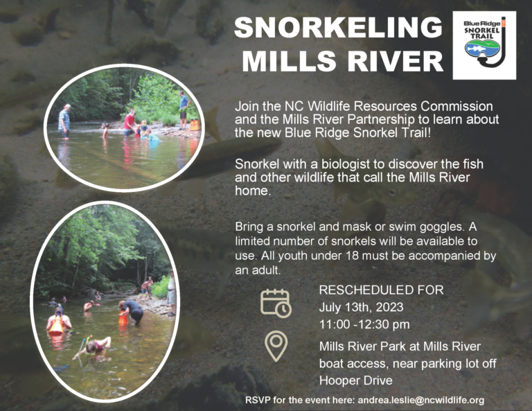 8 Tips To Design The Ultimate Mills River Park Nc Adventure Today