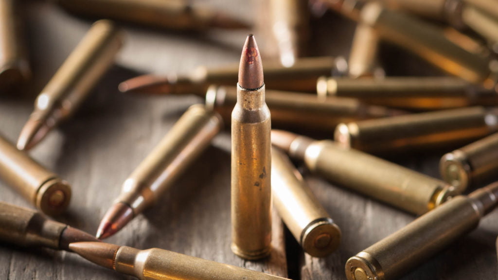 A Comprehensive Guide To The Best Hunting Bullets For Sport Hunting