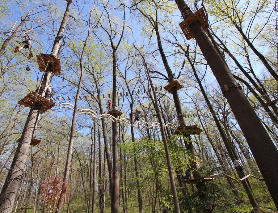 Adventure Park On Long Island Youtube