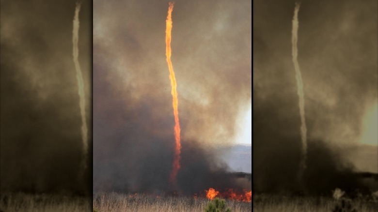 All About The Natural Phenomenon Of Fire Whirls