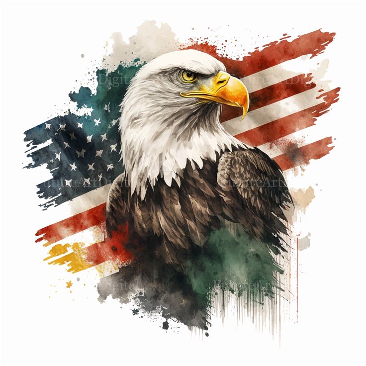 Amazon Com Usa Bald Eagle American Flag Print On Canvas Eagle Modern