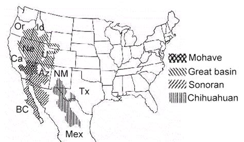 Approximate Boundaries Of The Four Main Deserts Of North America