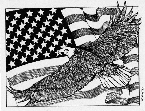 Bald Eagle Over American Flag By Donald Aday