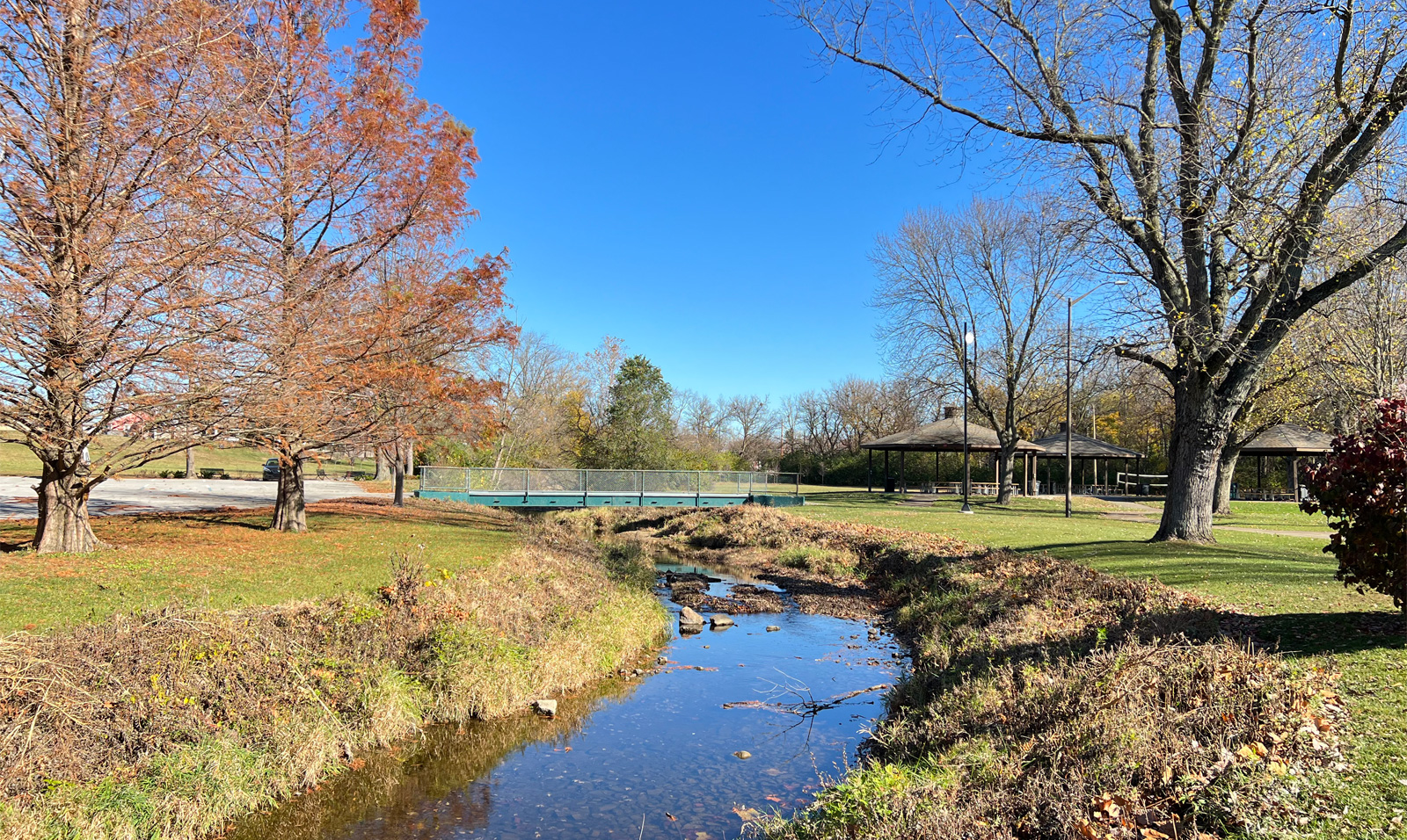 Beech Grove In