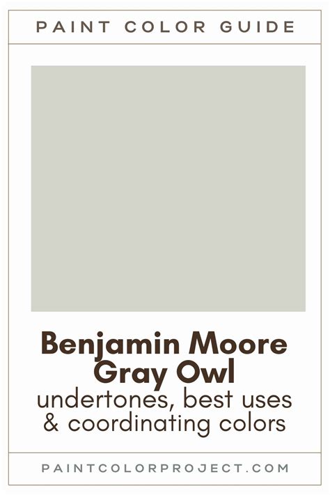 Benjamin Moore Gray Owl A Complete Color Review The Paint Color Project