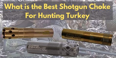 Best Shotgun Choke For Hunting Turkey Hunter Guide