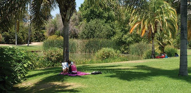 Cal State Fullerton 10 Best Places To Chill Out On Csuf Campus