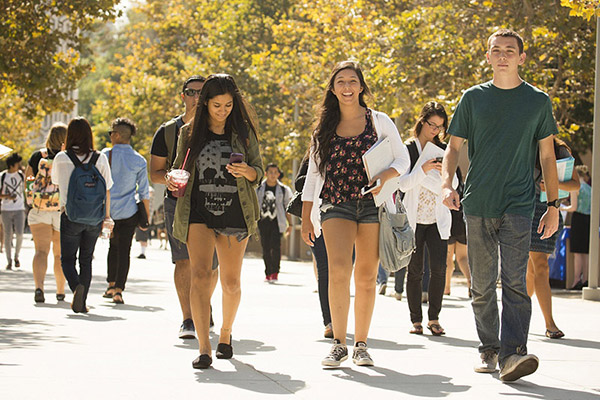 Cal State Fullerton Transfer Acceptance Rate Collegelearners