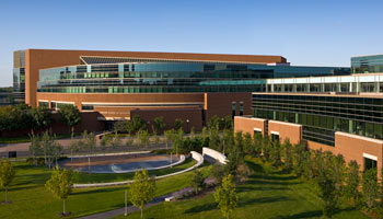 Carlson School Of Management