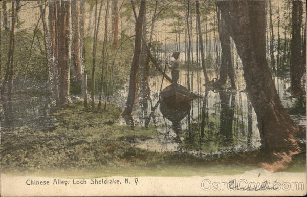 Chase Alley Loch Sheldrake Ny Postcard