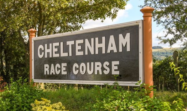 Cheltenham Live