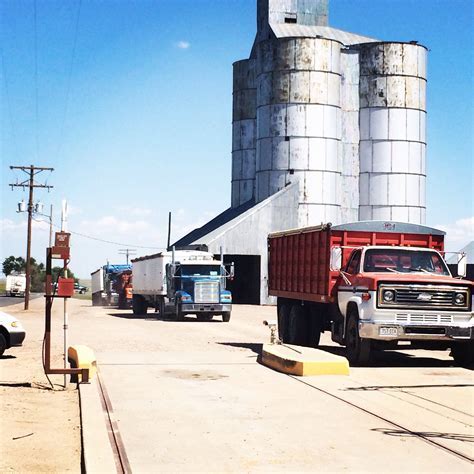 Clovis Nm Food Stamp Office