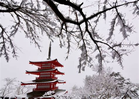 Complete Guide To Visiting Japan In February 2023 Weather What To See