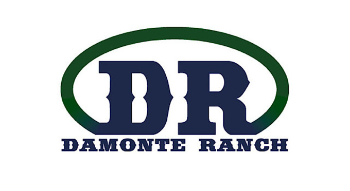 Damonte Ranch High School Band