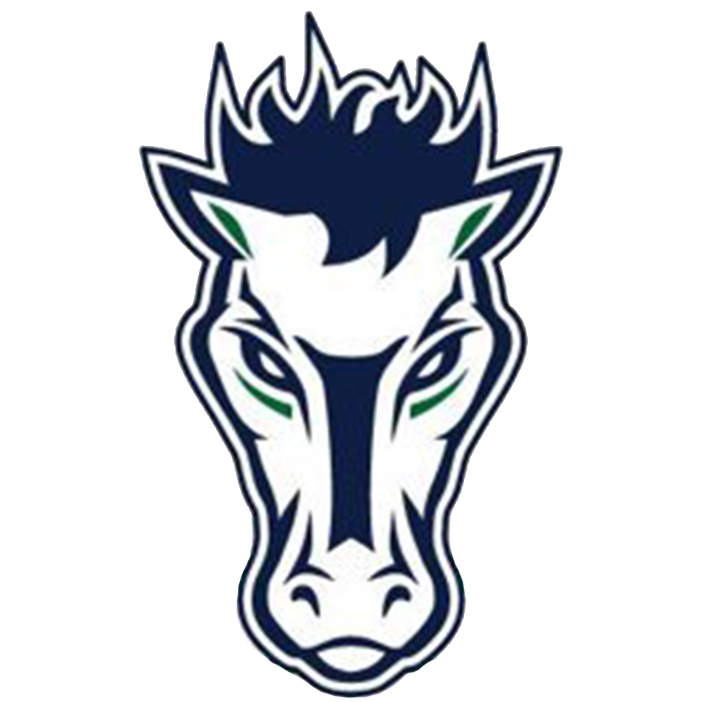 Damonte Ranch Mustangs Girls Soccer Reno Nv High School On Si