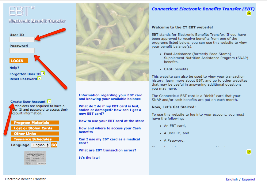 Design Your Nc Ebt Journey 9 Pro Strategies For Impact Immuno Oncology