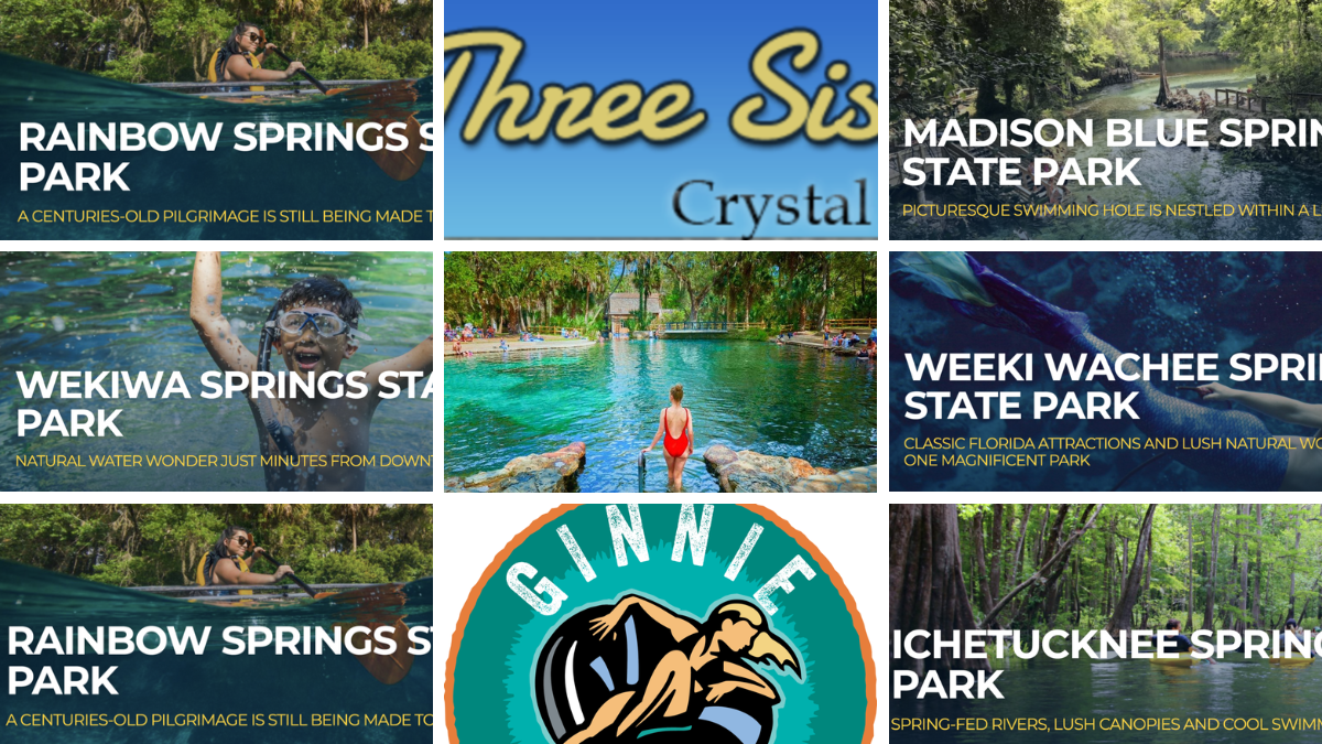 Discover Paradise The Top 9 Must Visit Springs In Florida For An