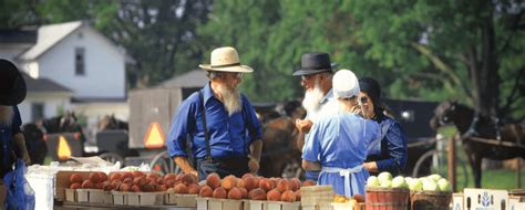 Do Amish Get Food Stamps