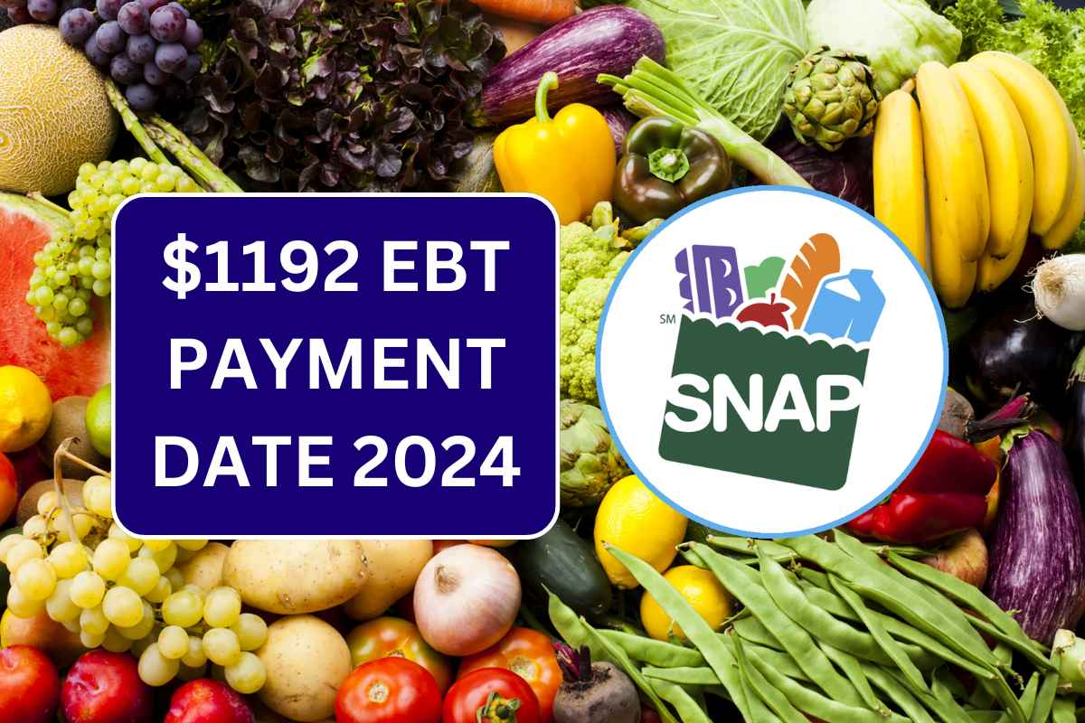 Ebt Payment Dates 2024