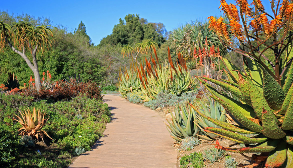 Echo Park Lakecity Of Los Angeles Department Of Recreation And Parks