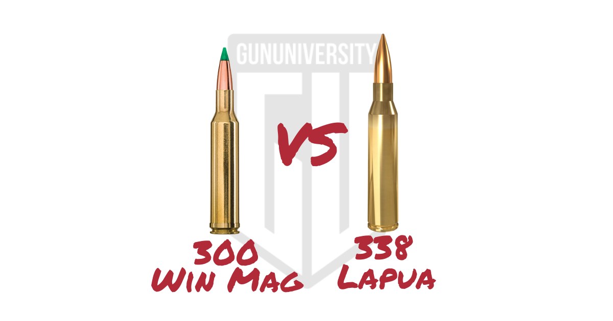 Elk Cartridge Showdown 308 Win Vs 300 Win Mag Vs 338 Win Mag