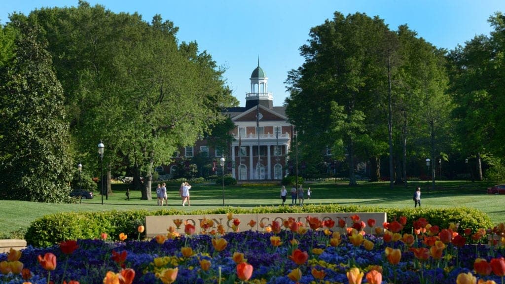 Elon University Tuition Rankings Majors Alumni Acceptance Rate