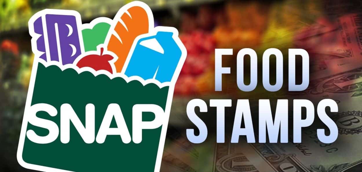 Florida Food Stamp Guidelines 2024 Florida Jess Romola