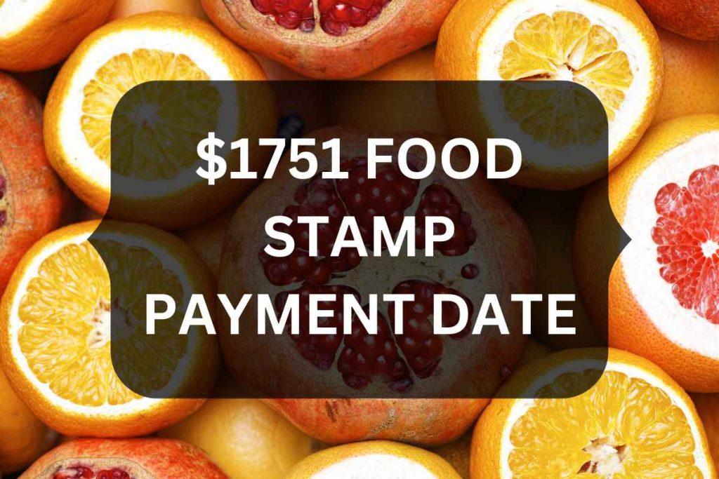 Food Stamp Payment Dates 2024 Lonee Cordula