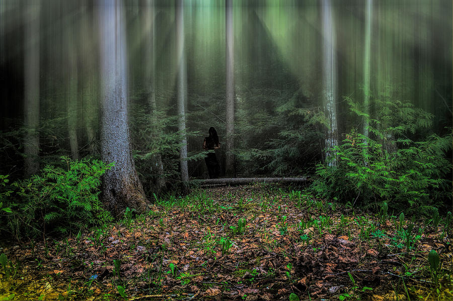 Forest Secrets Photograph By Gary Smith Fine Art America