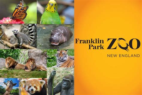 Franklin Park Zoo Ebt Tickets