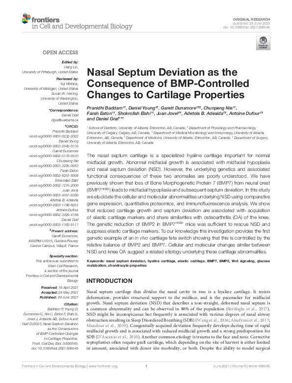 Frontiers Nasal Septum Deviation As The Consequence Of Bmp Controlled