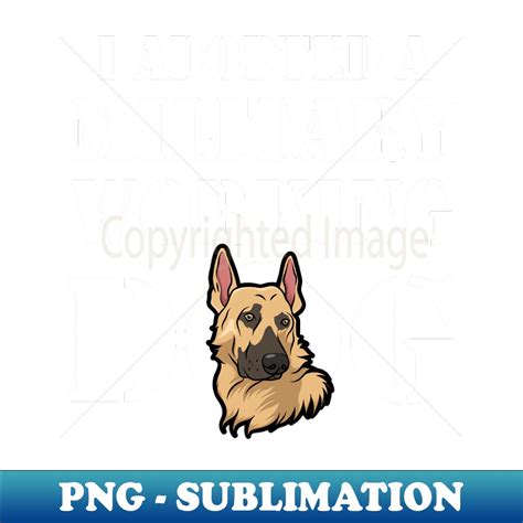 German Shepherd Military Working Dog Adoption Png Transpar Inspire