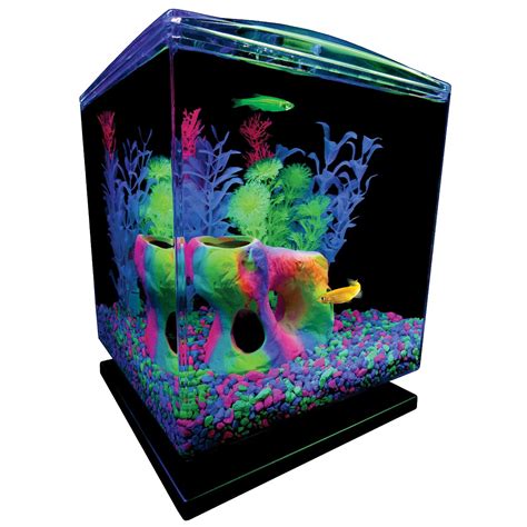 Glofish Aquarium Kit 1 5 Gallons Easy Setup And Maintenance Perfect