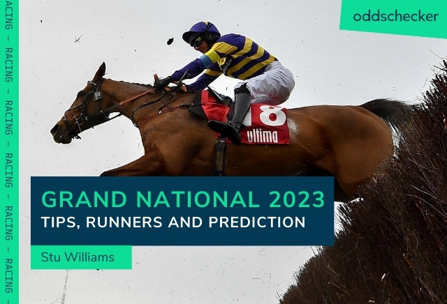 Grand National 2023 Tips Runners Riders Prediction Oddschecker