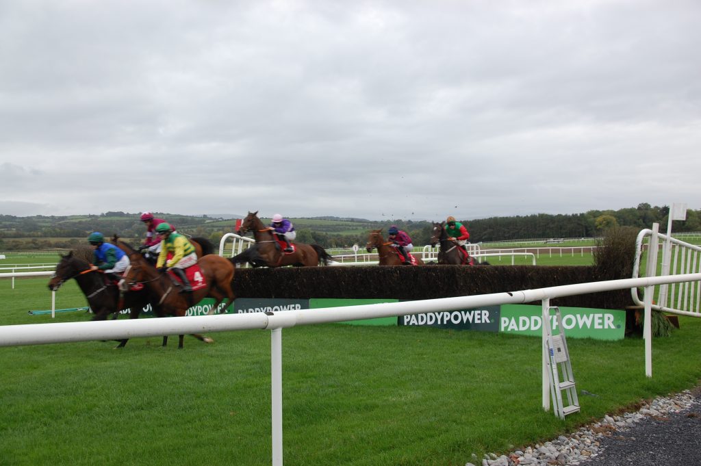 Grand National Runner By Runner Guide Part Two Our Definitive Rundown