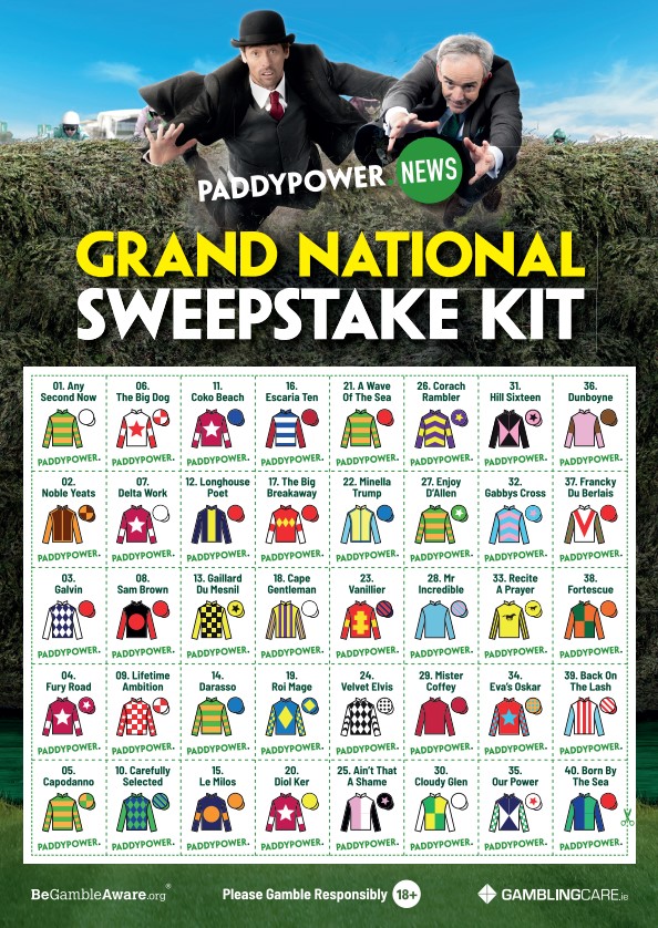 Grand National Sweepstake Kit 2023 Print Our Free