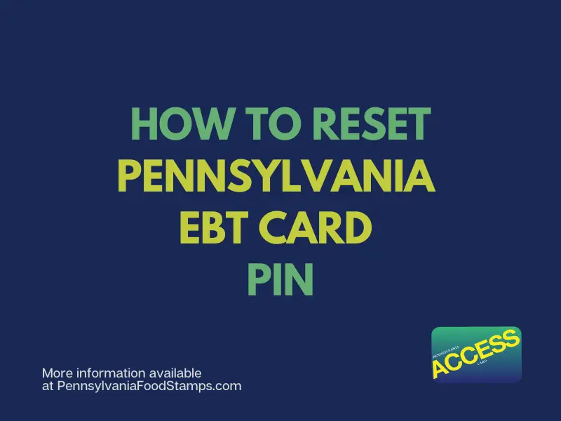 How To Change The Ebt Card Pin Online Reset Ebt Pin Youtube