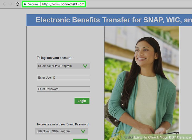 How To Check Your Ebt Balance Safely